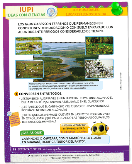 muestra
