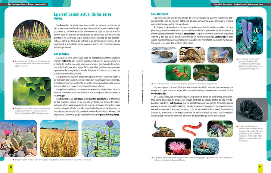 muestra
